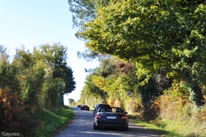 Scudpass_0102